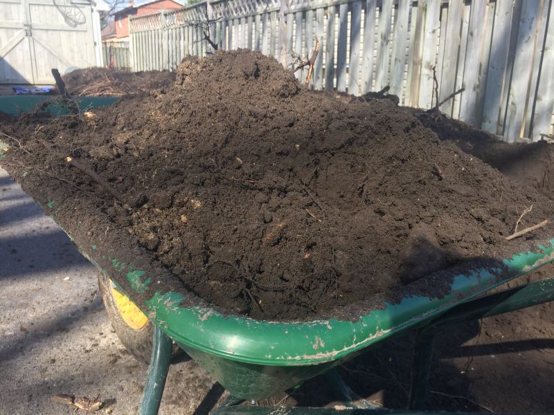Dirt Removal Service
