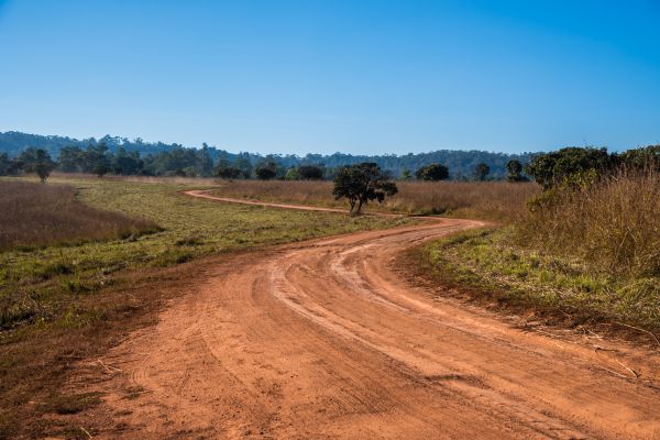 Dirt Driveway Repair in Dacula
