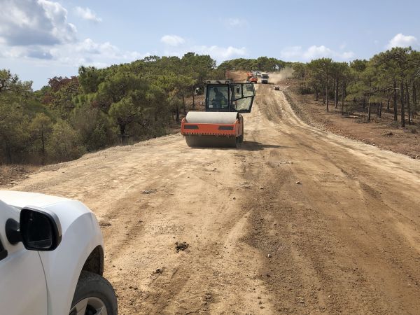 Cost of Driveway Grading in Dacula