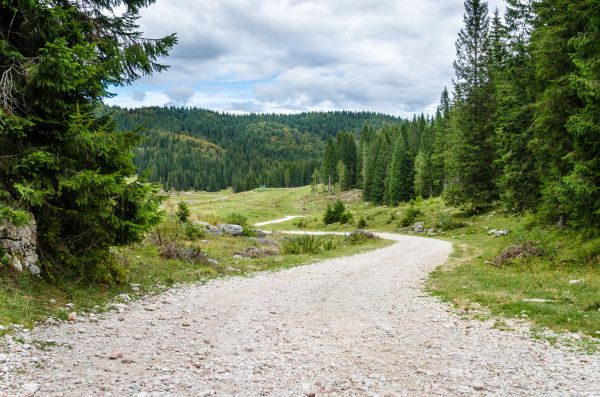 Gravel Road Grading Service