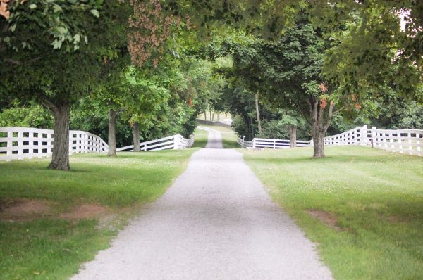 Gravel Driveway Construction in Dacula