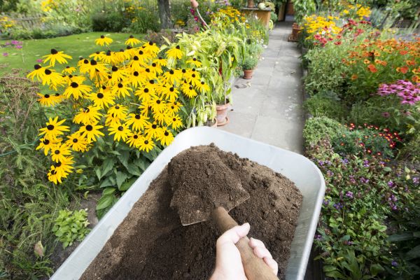 Topsoil Installation in Dacula